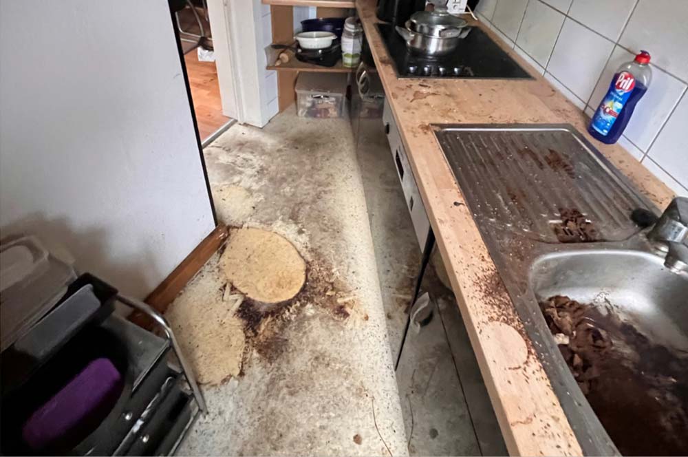 Küche Messie Entrümpelung Vorher