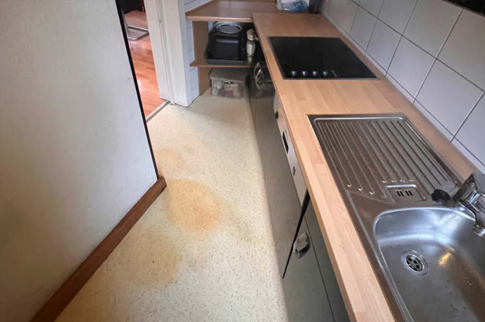 Messie Entrümpelung Cottbus Nachher